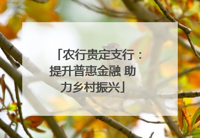 农行贵定支行：提升普惠金融 助力乡村振兴